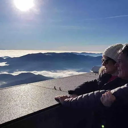 Parenthese De Vie - Independant * Серне